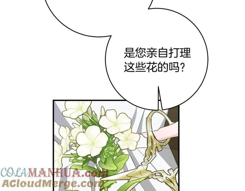 公爵夫人的红茶物语漫画免费下拉式漫画,第71话 日记81图