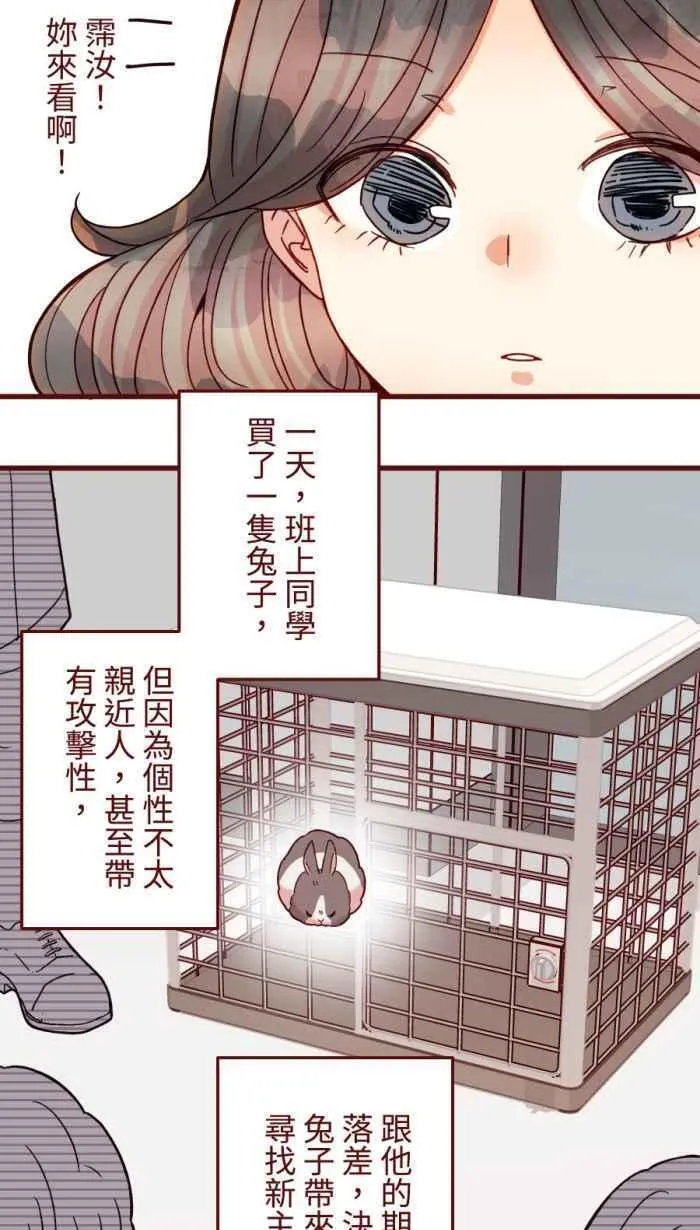 我和教授漫画,[第二季] 53 圆圆12图