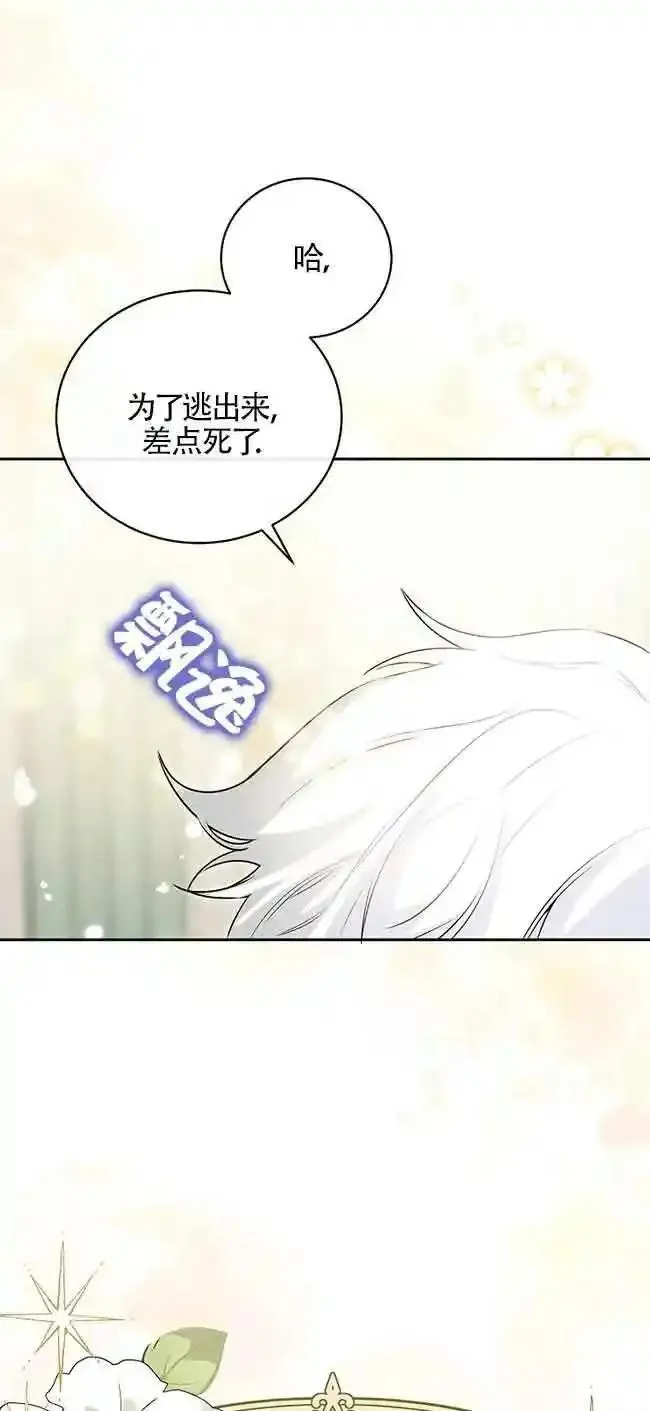 我到底穿去哪本书了漫画,第23话14图