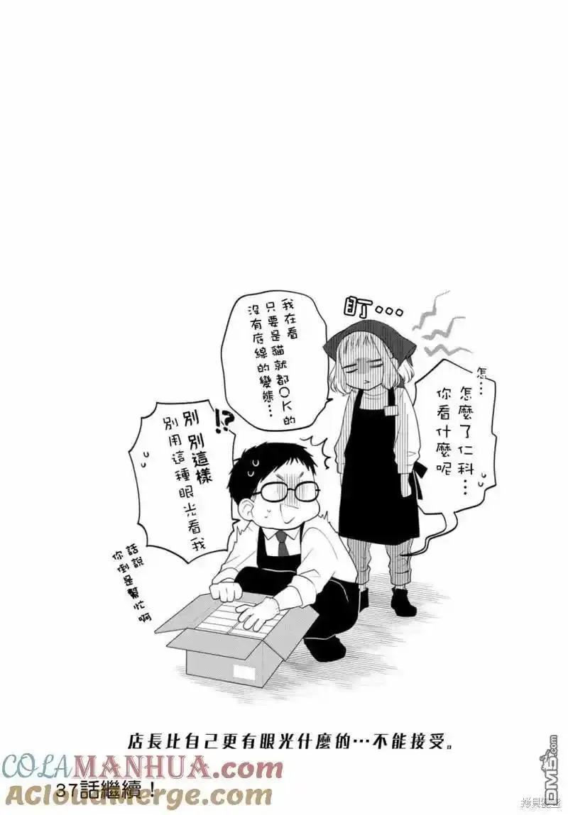 能干的猫今天也忧郁人物介绍漫画,第101话7图