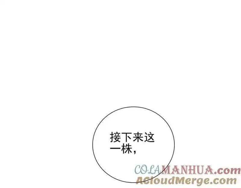 我的白富美老婆漫画,14 千年灵芝53图