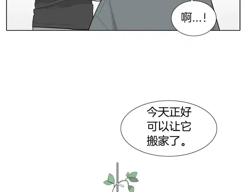 触摸到你的心跳漫画,第57话 怎么会是这样？170图