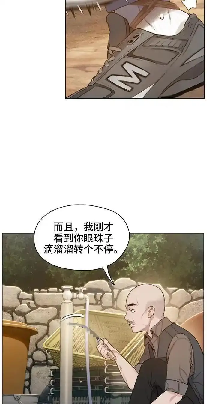 绝命循环韩漫画免费漫画,第31话39图