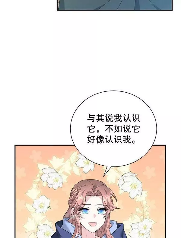 传令鸟公主殿下漫画,71.看到希望104图