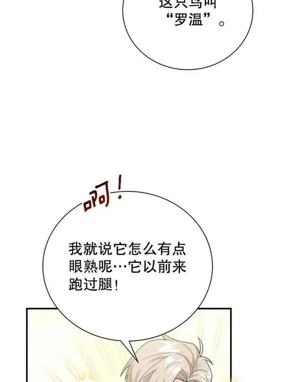 传令鸟公主殿下漫画,72.有缘分的鸟19图