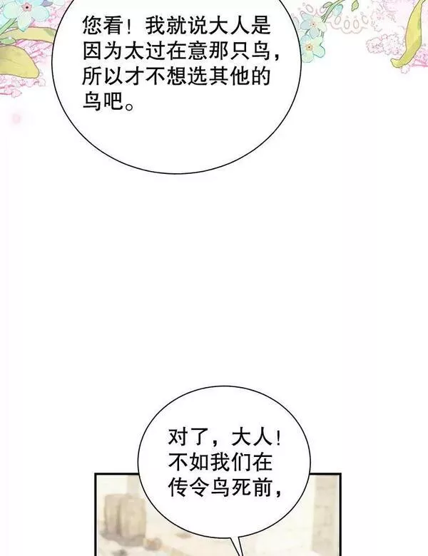 传令鸟公主殿下漫画,72.有缘分的鸟35图