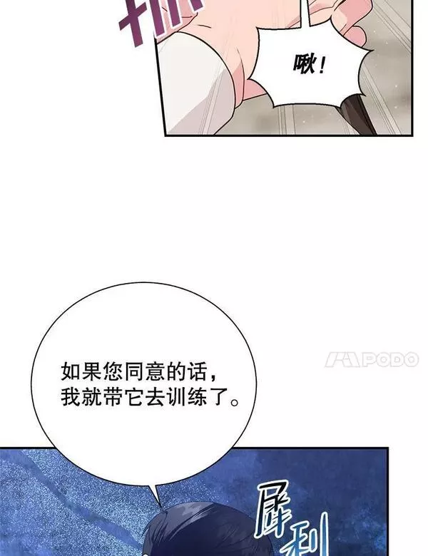 传令鸟公主殿下漫画,72.有缘分的鸟66图