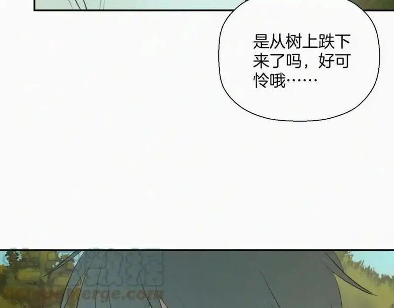 贵族学校的贫困生漫画,第十九话 救救它37图