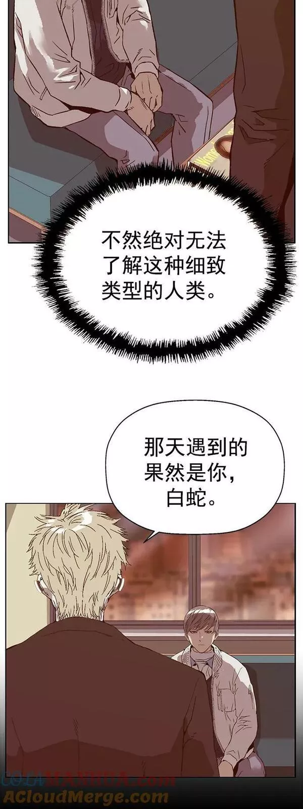 英雄联盟手游卡牌漫画,第232话25图