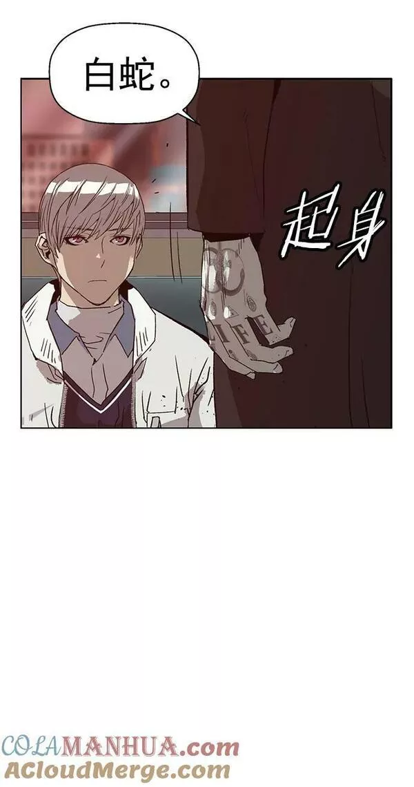 英雄联盟手游卡牌漫画,第232话46图