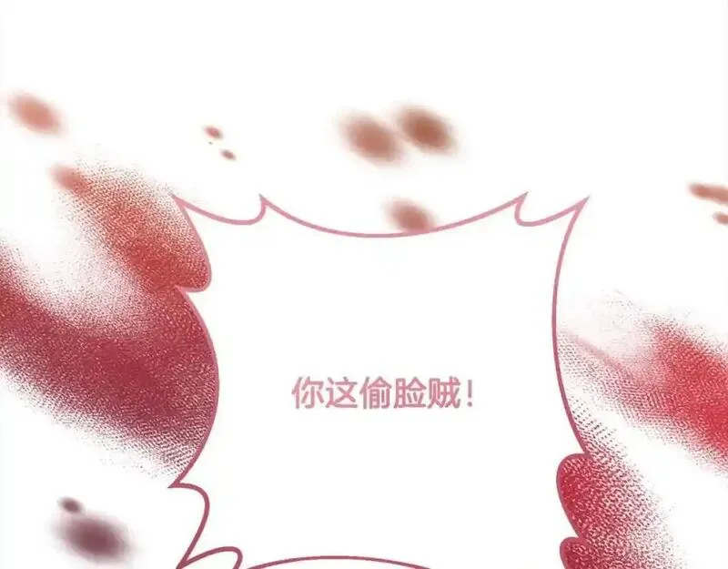 双胞胎姐姐的罢工宣言漫画,第14话 偷脸贼164图