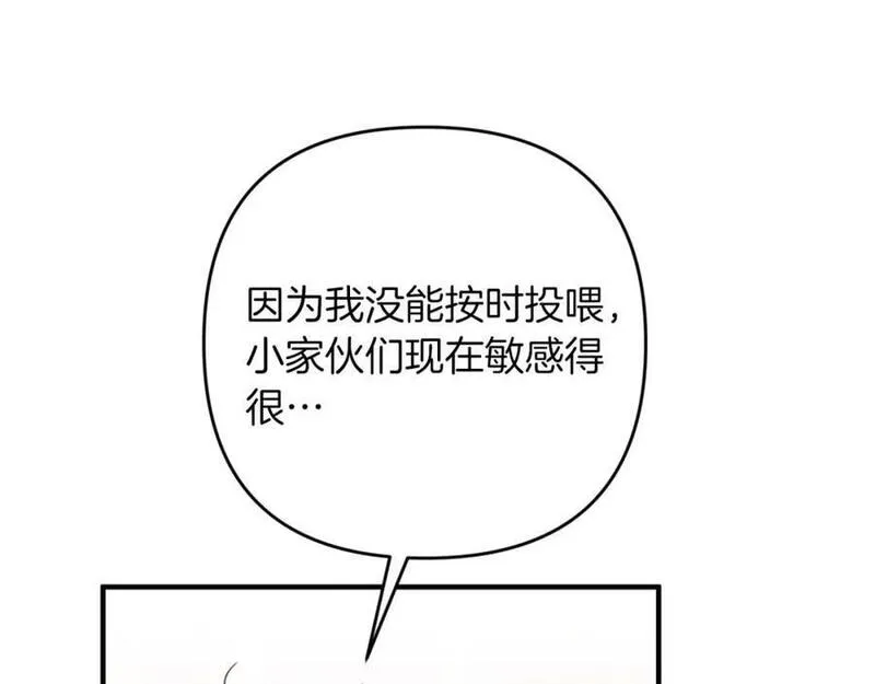 钻石小姐历险记漫画,第53话 玻璃花园拍卖会235图