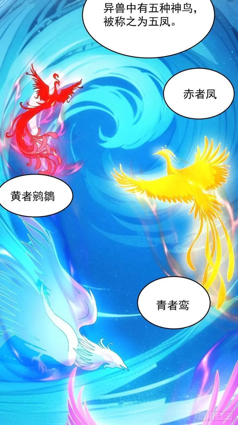 我就是不按套路出牌听书免费漫画,第209话：登津大峡谷6图