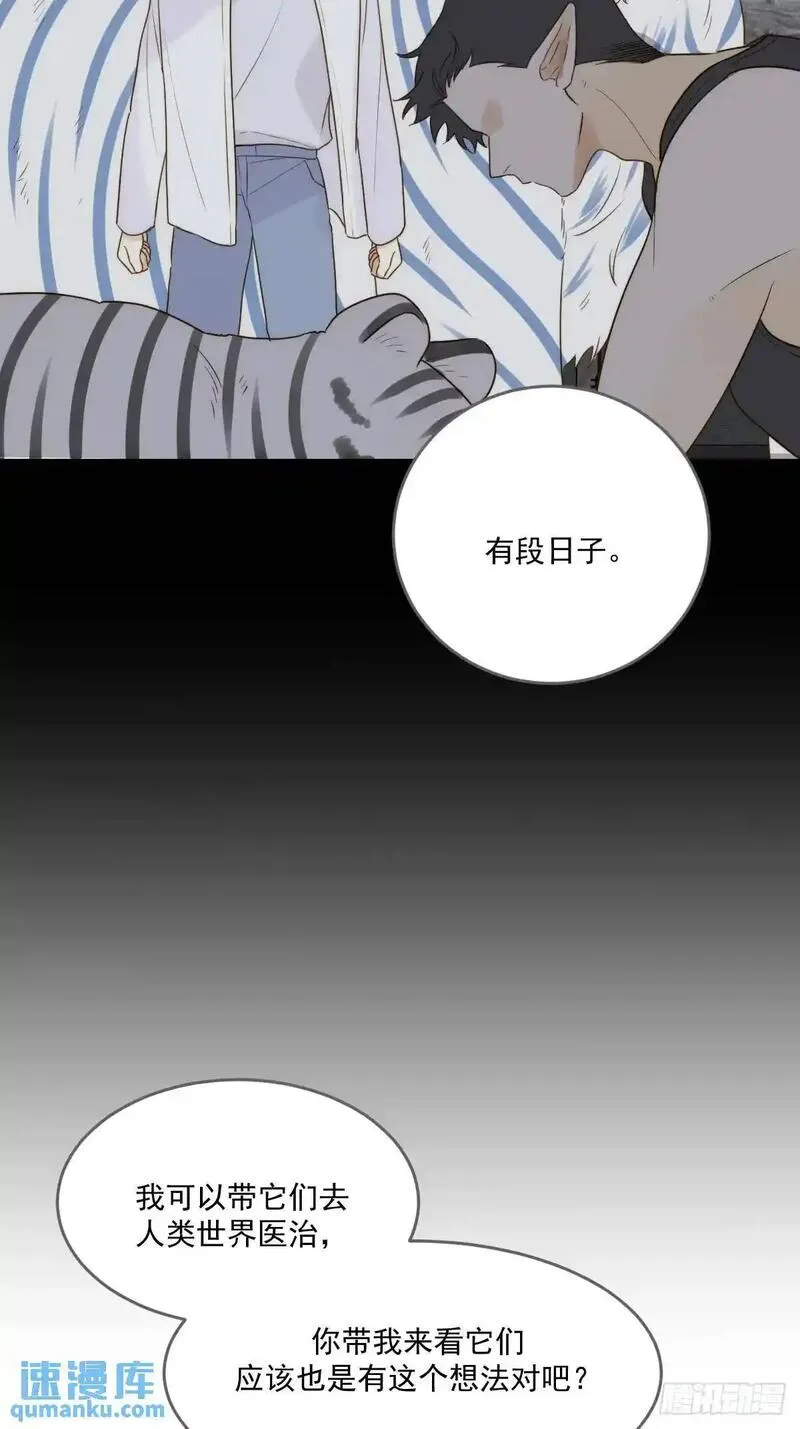 只有尾巴不可以！漫画,前往人间38图