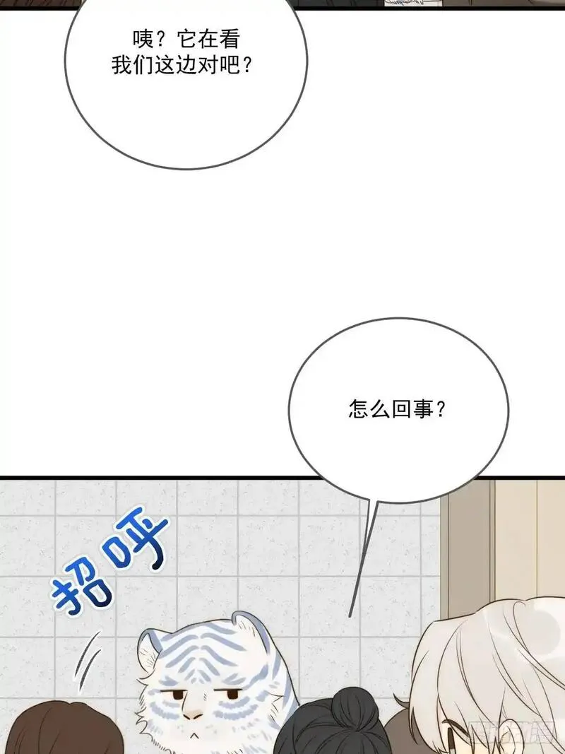 只有尾巴不可以！漫画,互相帮助16图