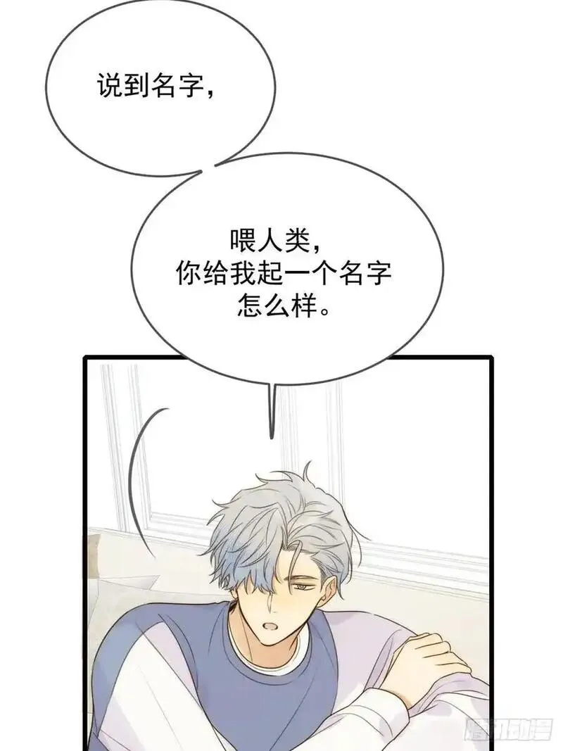 只有尾巴不可以！漫画,师徒再见15图