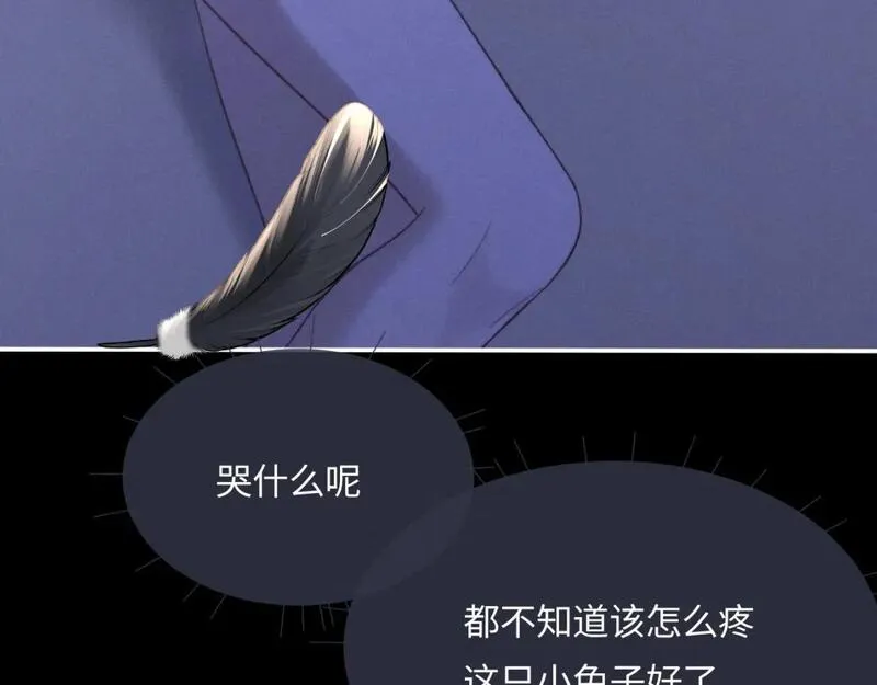 垂耳执事漫画,番外 兔与鹰75图