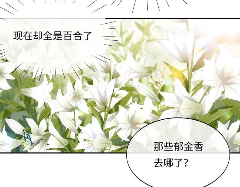 垂耳执事适合12岁学生看吗漫画,特典篇2 叶晚74图