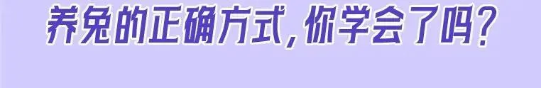 垂耳执事第一章原文漫画,第19期 整活企划：养兔指南26图