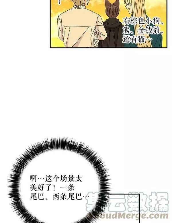 大魔法师的女儿片段漫画,156.搭帐篷49图