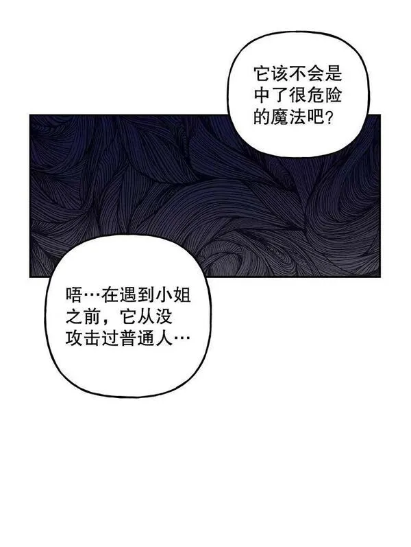 大魔法师的女儿免费观看漫画,169.罗尔斯的经历74图