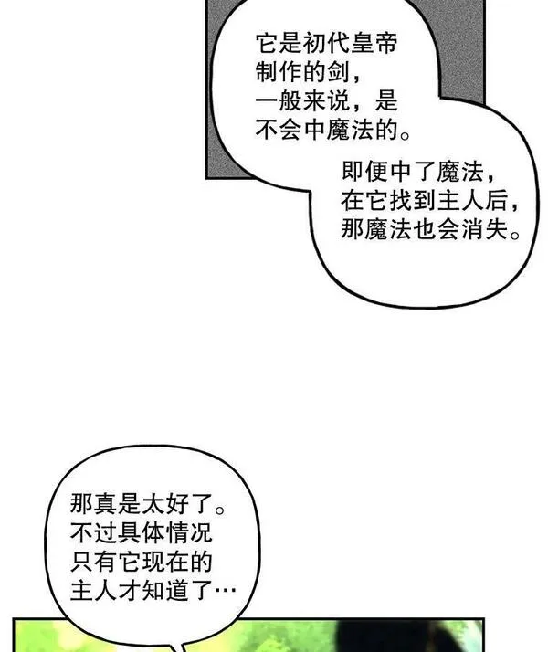 大魔法师的女儿免费观看漫画,169.罗尔斯的经历79图