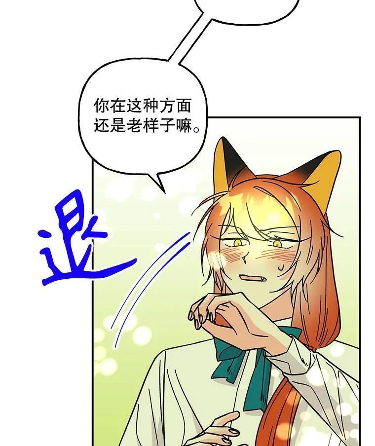 大魔法师的女儿免费奇妙漫画漫画,175.商议对策11图