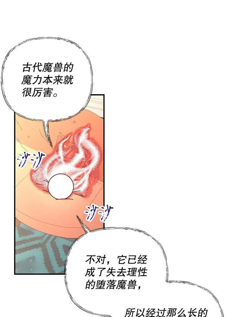 大魔法师的女儿免费奇妙漫画漫画,175.商议对策62图