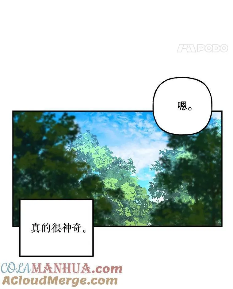 大魔法师的女儿免费观看漫画,183.进入时间之雾37图