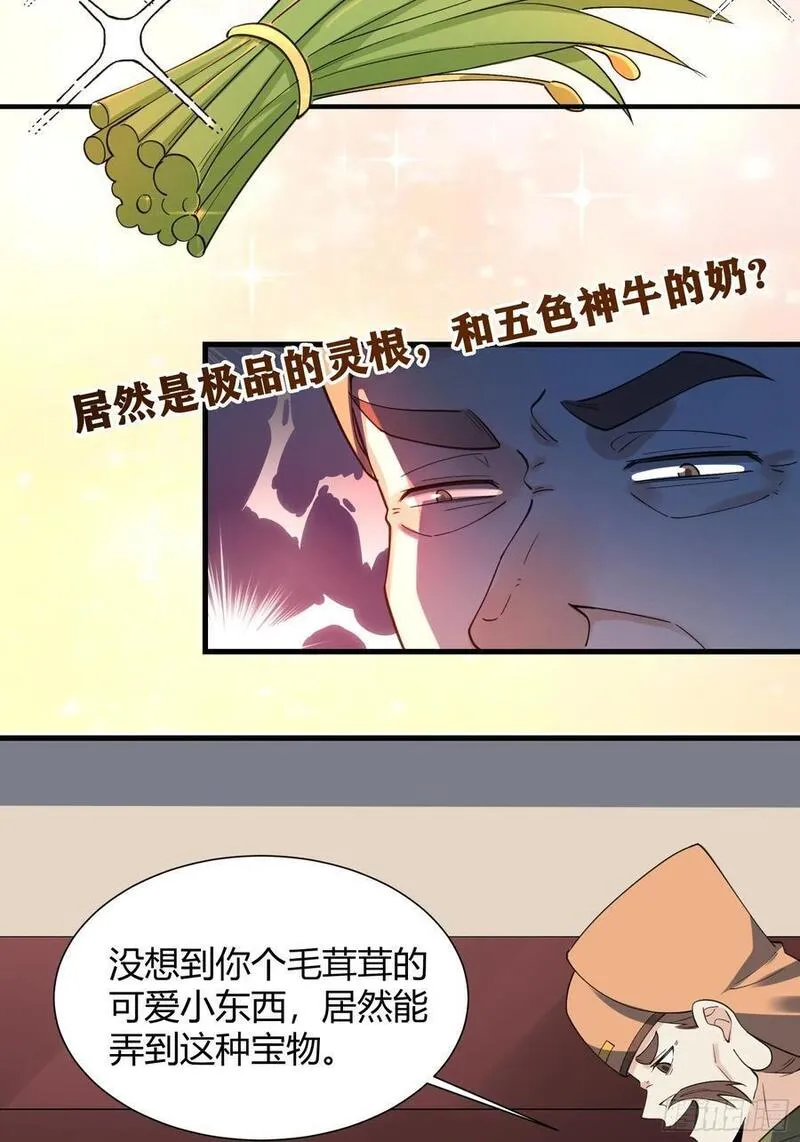 原来我是修仙大佬等级划分漫画,279话51图