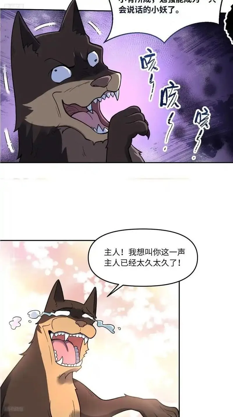 原来我是修仙大佬等级划分漫画,355话12图