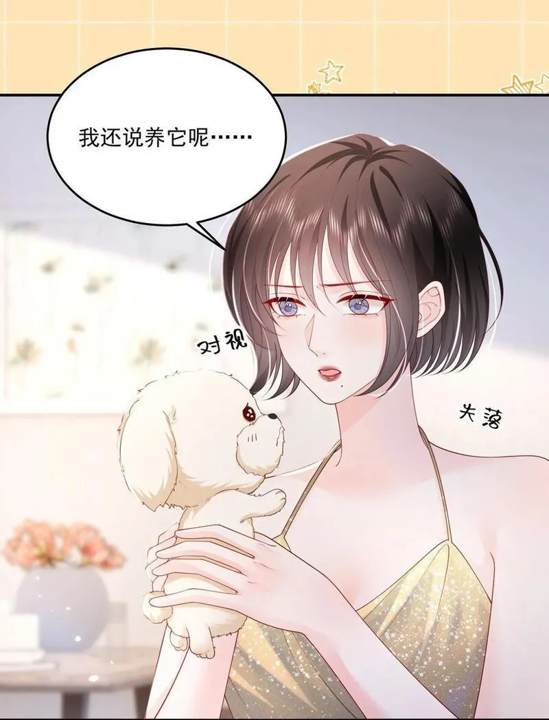 青梅了了小说漫画,067 被雨淋湿的小狗22图