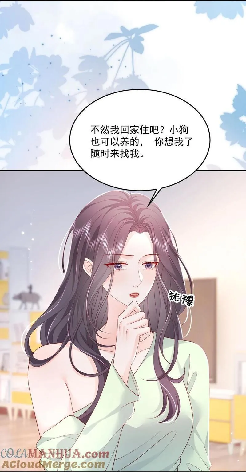 青梅了了小说漫画,067 被雨淋湿的小狗23图