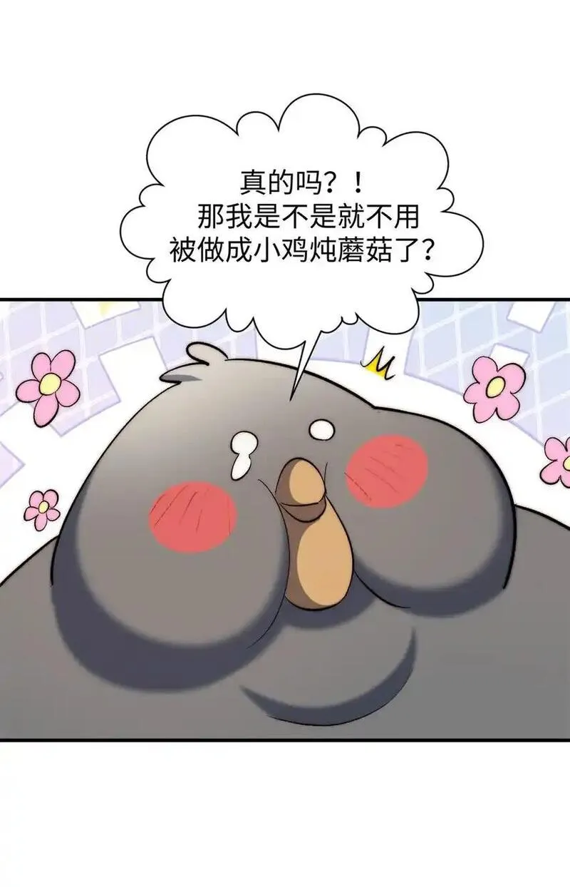 顶级气运，悄悄修炼千年漫画,138 三个太阳56图