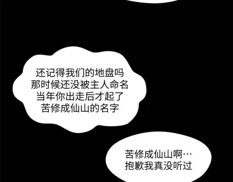 顶级气运悄悄修炼千年在线观看漫画,139 苏岐，对不起！80图