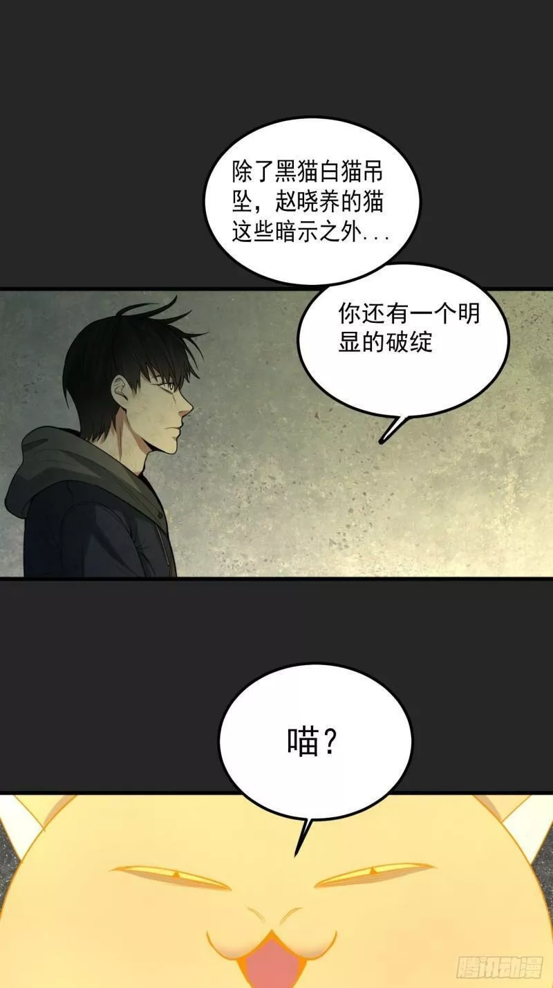 请勿拆封漫画,第34单：九命猫 1040图