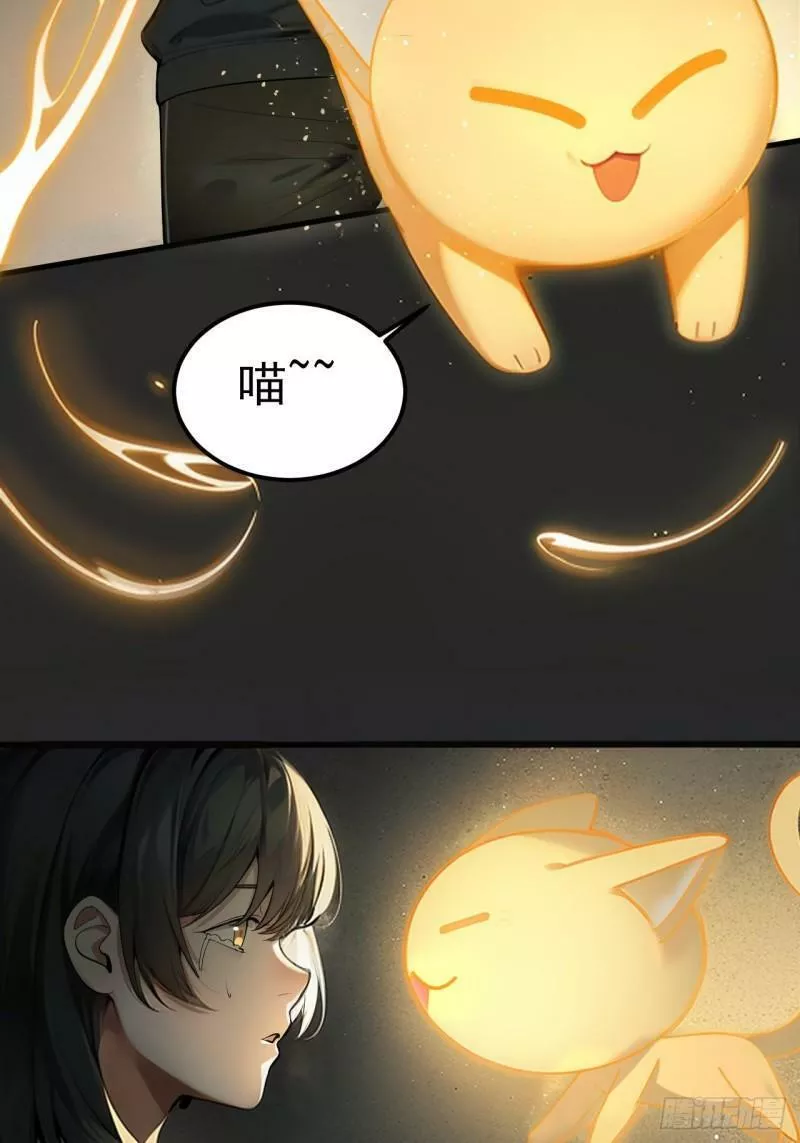 请勿拆封漫画,第35单：九命猫 1136图