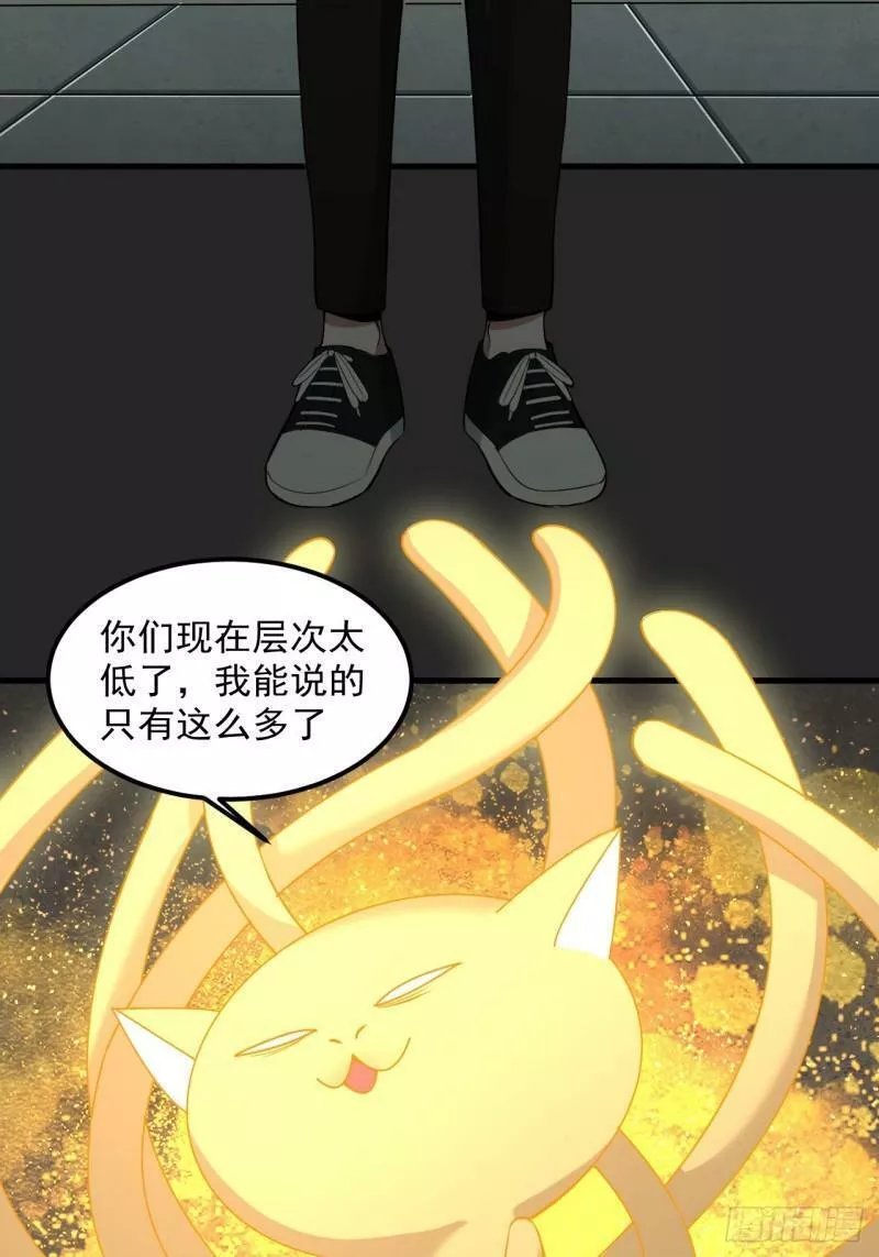 请勿拆封漫画,第35单：九命猫 1114图