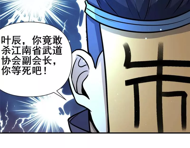 都市极品医神叶辰免费阅读漫画,073  效忠于我！43图