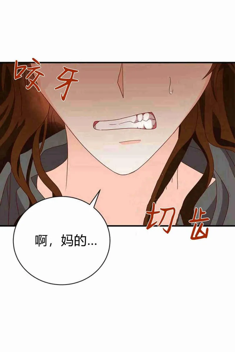 伯爵小姐的双重生活漫画,第31话67图