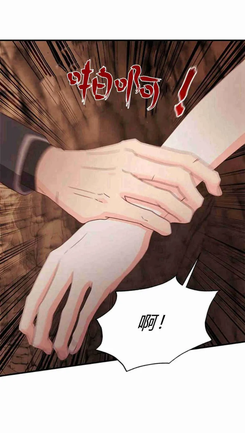 伯爵小姐的双重生活漫画,第31话71图