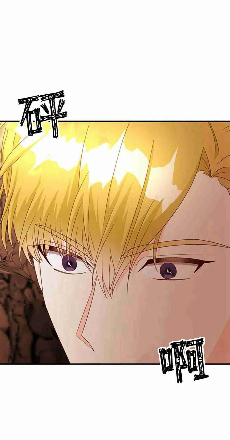 伯爵小姐的双重生活漫画,第31话38图