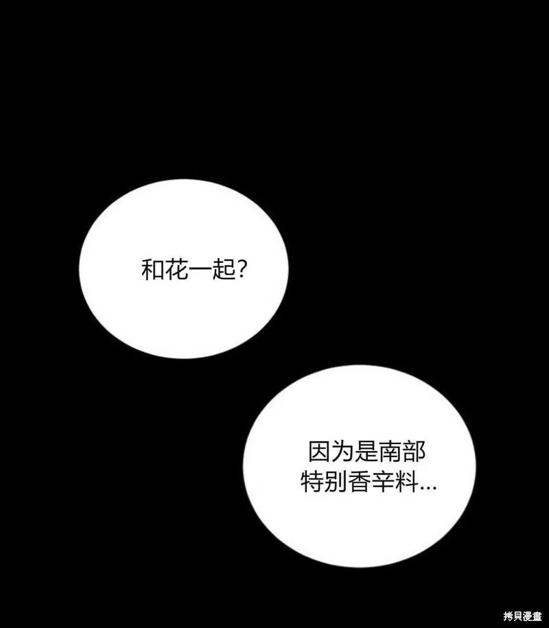 伯爵小姐的双重生活漫画,第23话21图