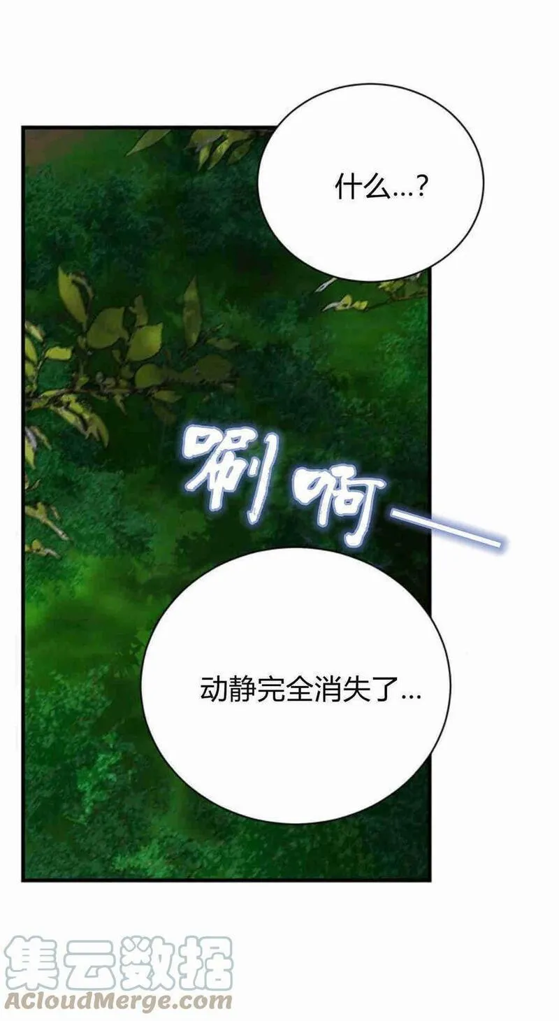 伯爵小姐的双重生活漫画,第34话49图