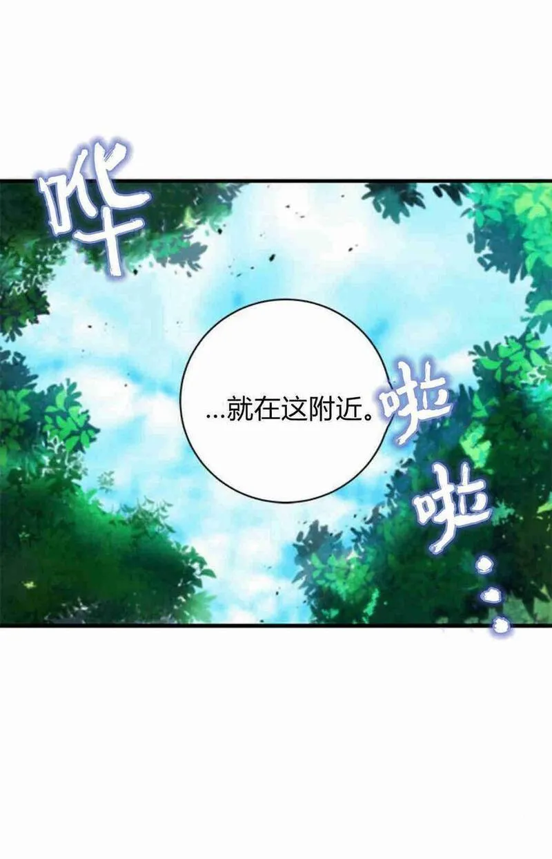 伯爵小姐的双重生活漫画,第34话31图