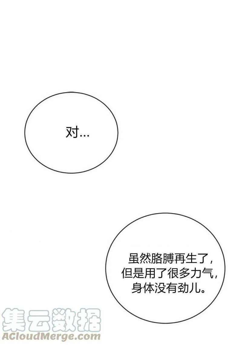 伯爵小姐的双重生活漫画,第36话22图