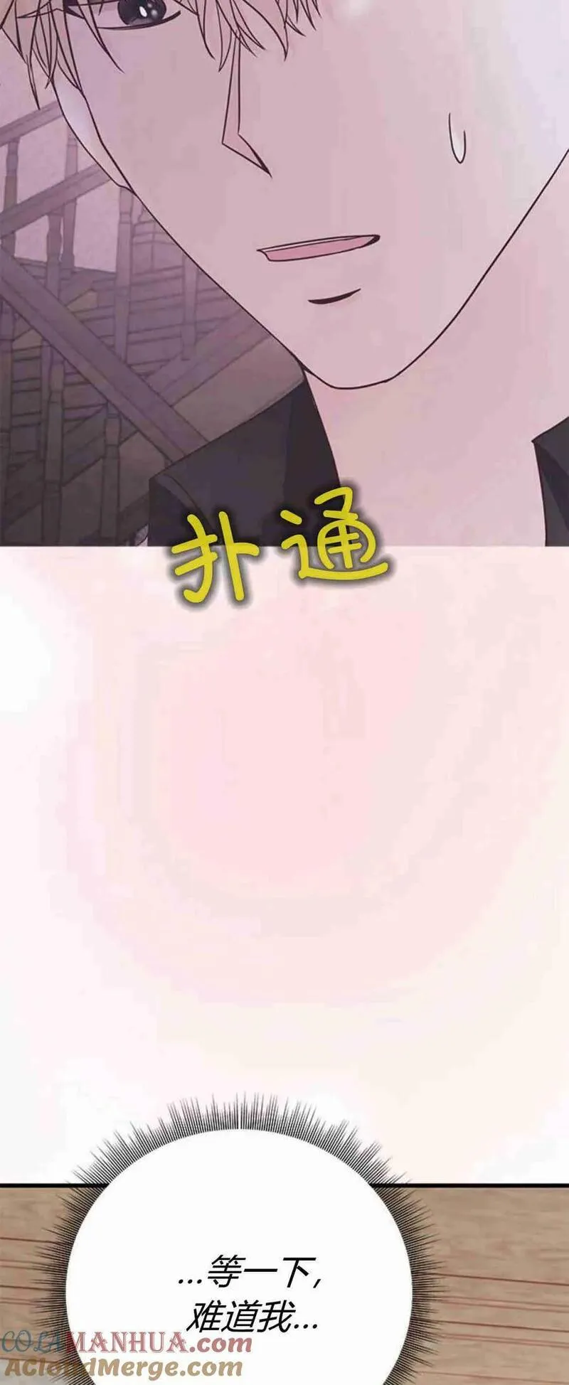 伯爵小姐的双重生活漫画,第38话41图