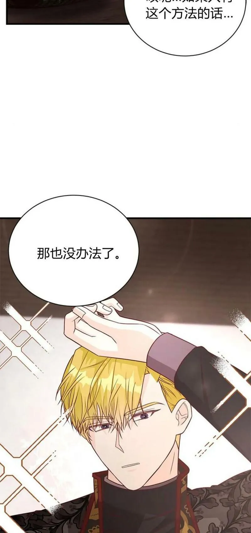 伯爵小姐的双重生活漫画,第47话82图