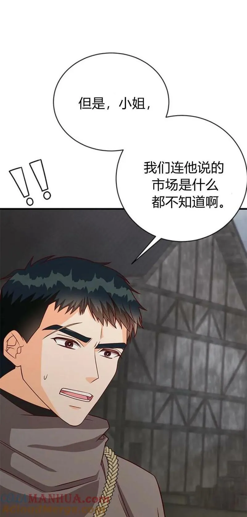 伯爵小姐的双重生活漫画,第47话41图