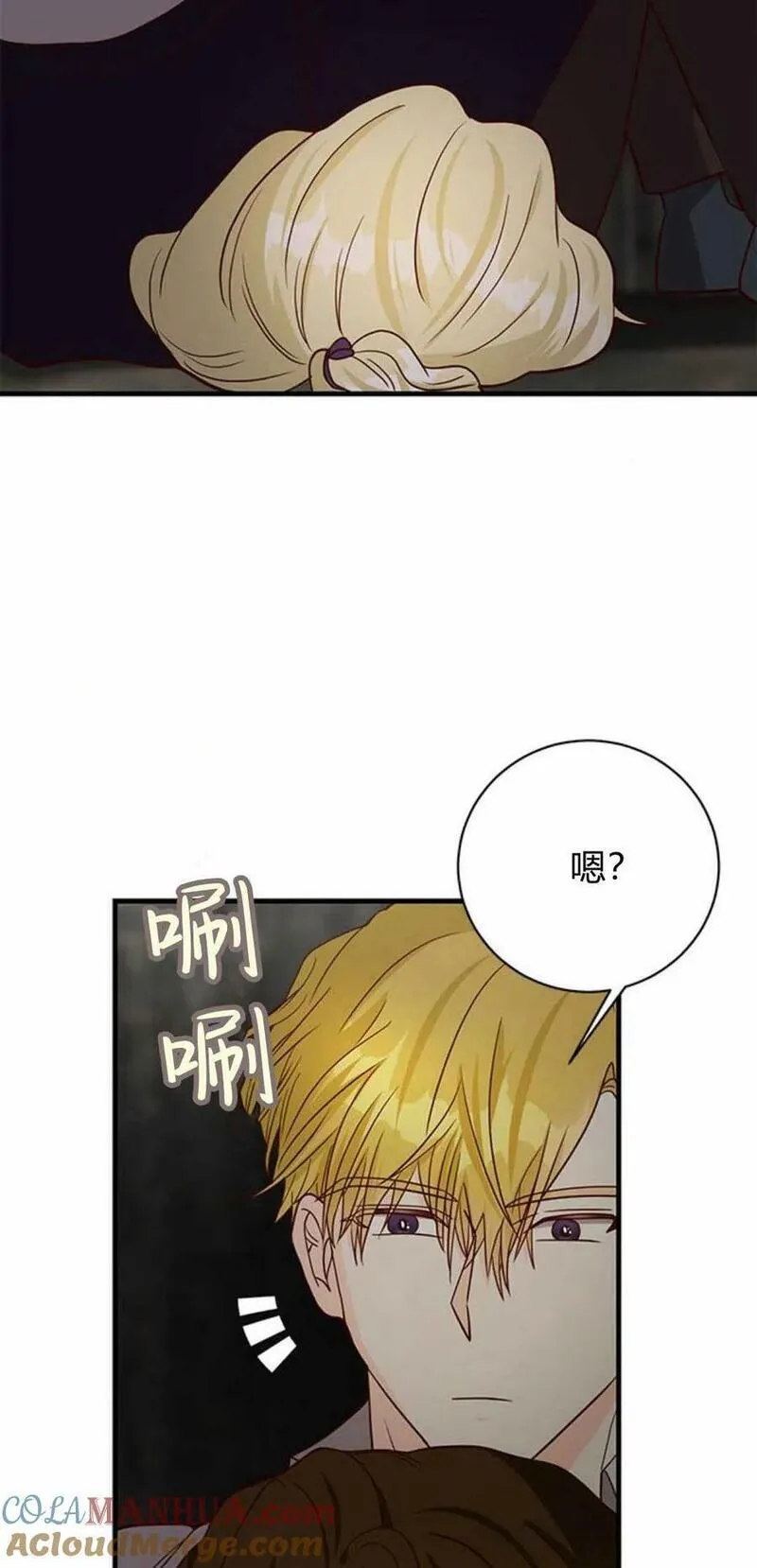 伯爵小姐的双重生活漫画,第51话97图